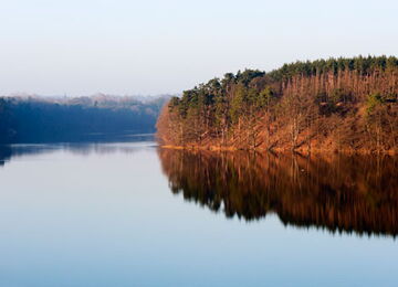 Grünow - Umgebung - See