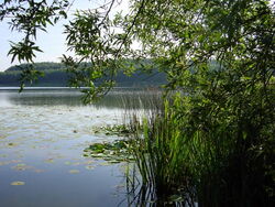 Grünow - Umgebung - See