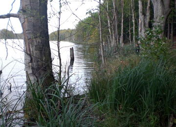 Grünow - Umgebung - See