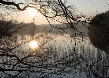 Grünow - Umgebung - See